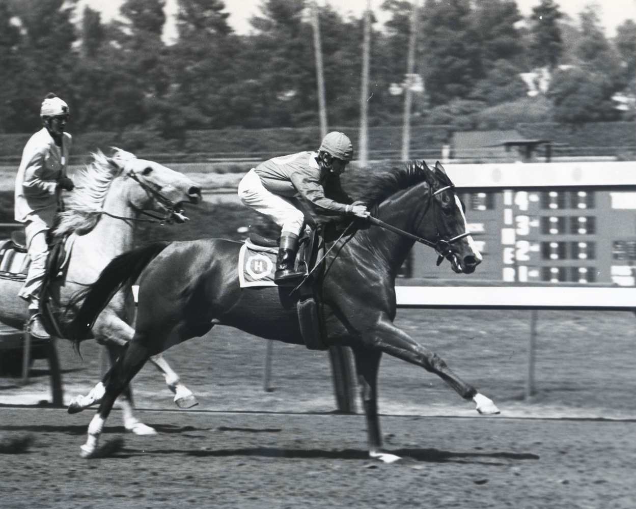 Susan's Girl with Laffit Pincay up at Hollywood Park (Bill Mochon/Museum Collection)