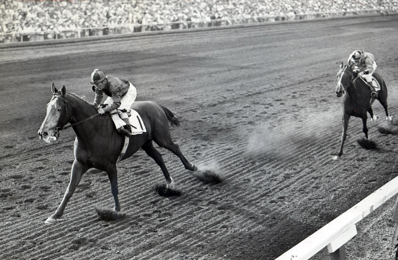 Swaps (Bill Shoemaker up) winning the 1956 Broward Handicap at Gulfstream Park (Museum Collection)