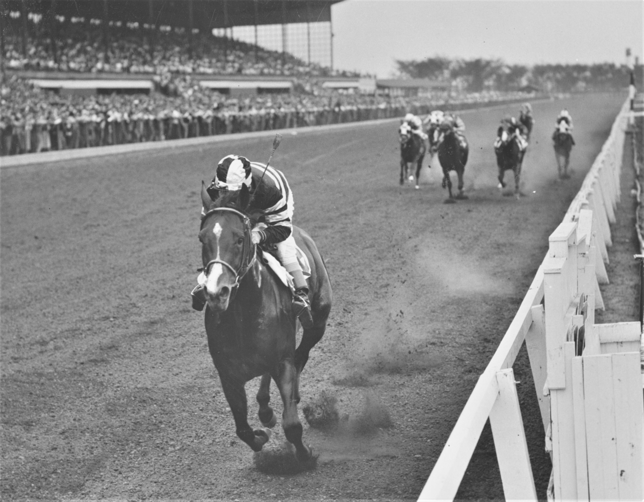Swoon's Son winning the 1957 Midwest Handicap at Hawthorne (Keeneland Library Thoroughbred Times Collection)