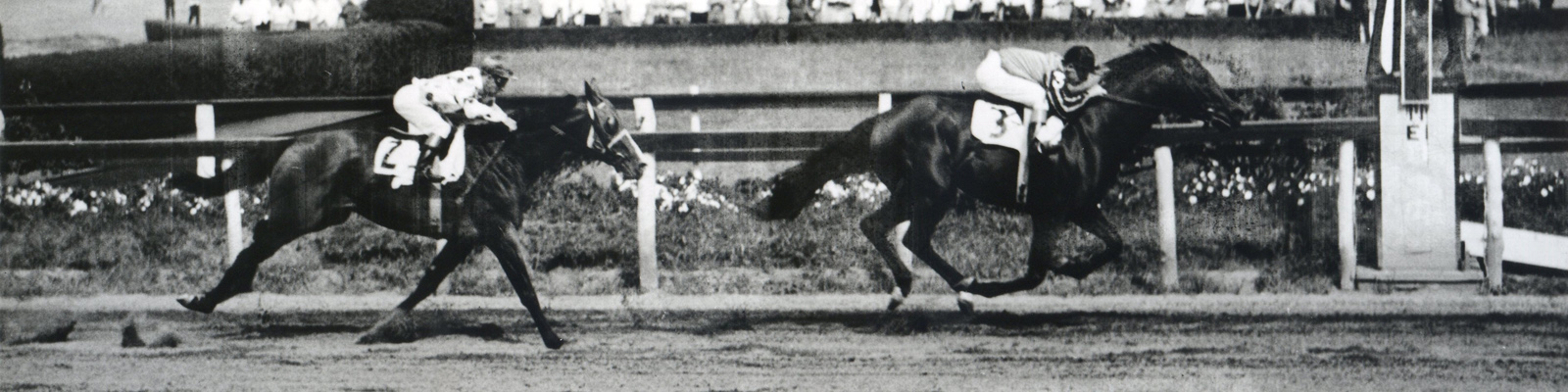 Tom Fool (Ted Atkinson up) winning the 1953 Brooklyn Handicap at Aqueduct (Keeneland Library Morgan Collection/Museum Collection)