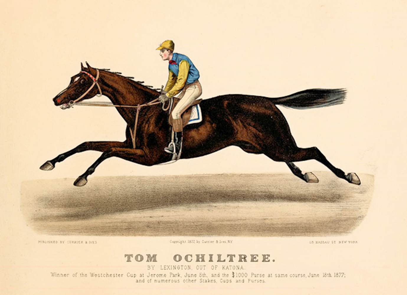 Currier & Ives print of Tom Ochiltree (Museum Collection)