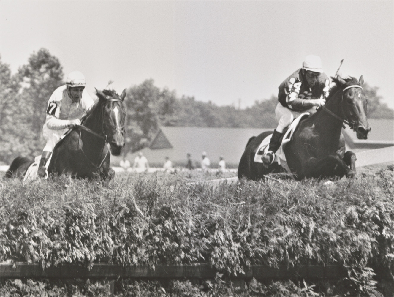 Tuscalee (on right) approaching a jump in the Indian River Steeplechase at Delaware Park, July 1966 (Keeneland Library Thoroughbred Times Collection)