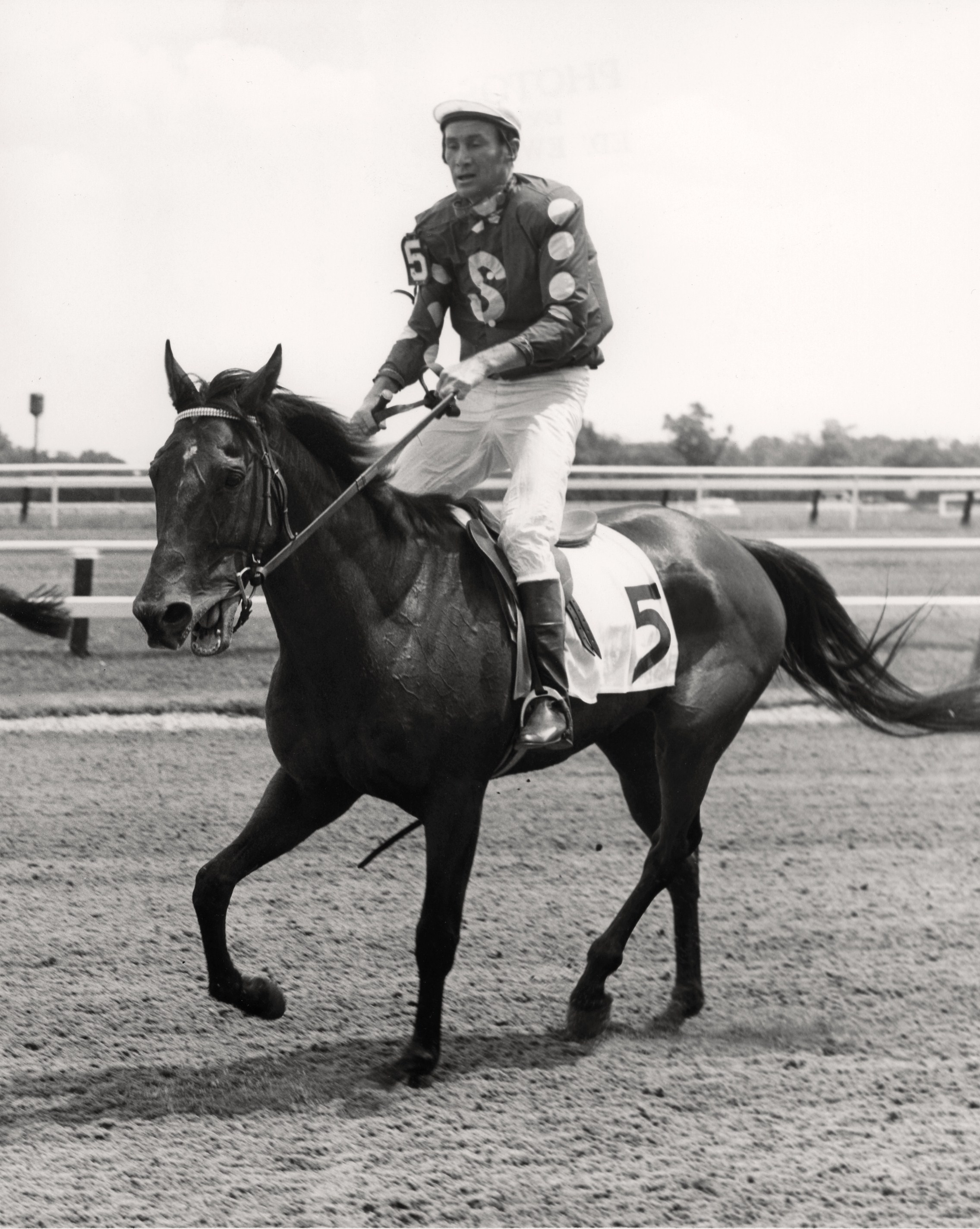 Tuscalee with Joe Aitcheson up after winning the 1967 Georgetown Steeplechase Handicap (Keeneland Library Thoroughbred Times Collection)