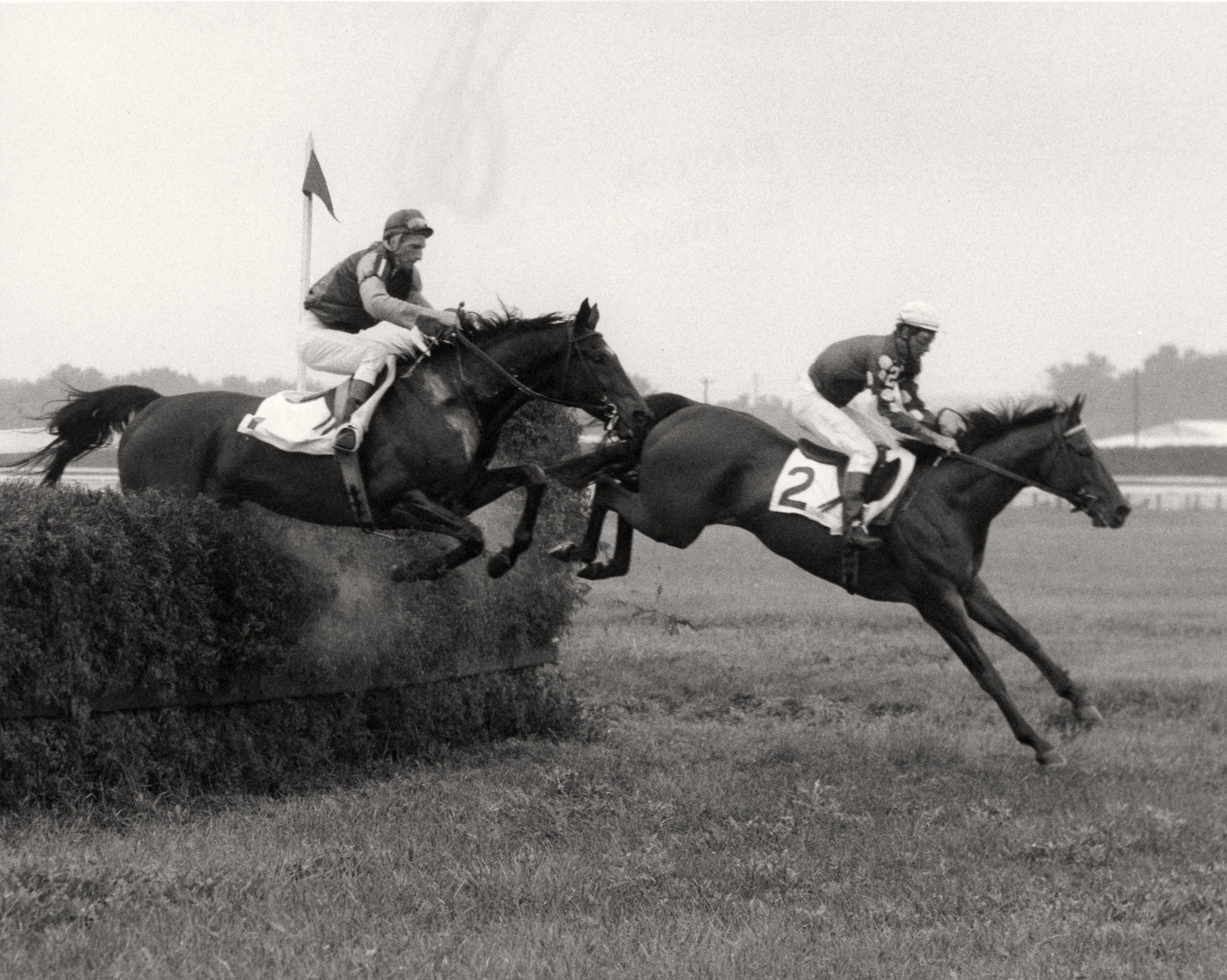Tuscalee (#2) clearing a jump with Joe Aitcheson up (Keeneland Library Thoroughbred Times Collection)