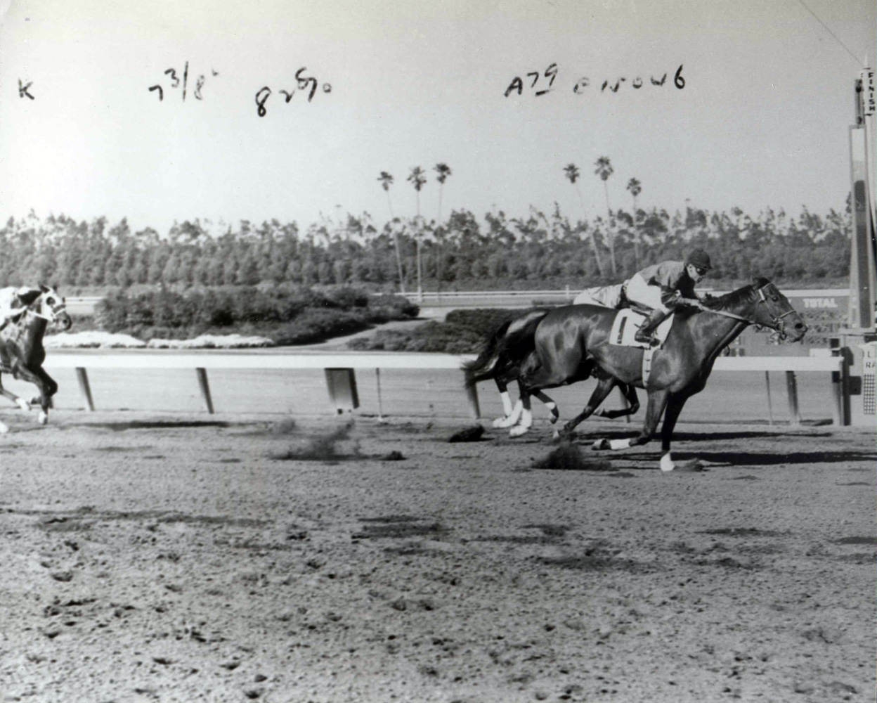Two Lea (Henry Moreno up) winning the 1952 Hollywood Gold Cup at Hollywood Park (The BloodHorse/Museum Collection)