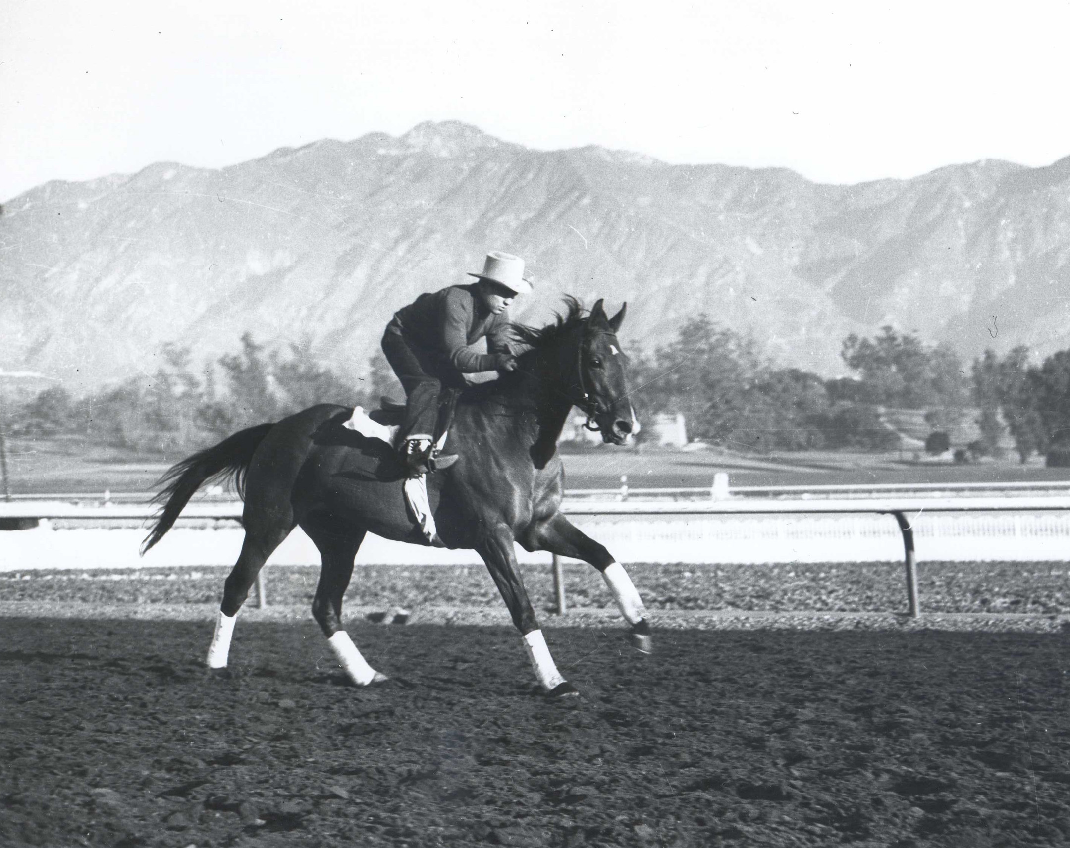 Two Lea during a workout at Santa Anita Park (Bill Mochon/Museum Collection)