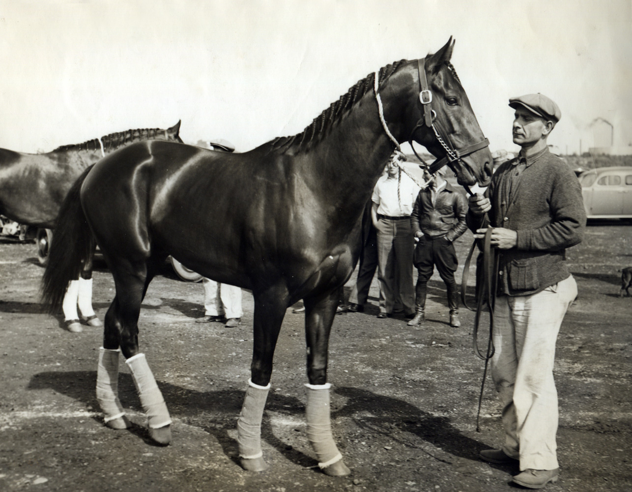 War Admiral (Museum Collection)