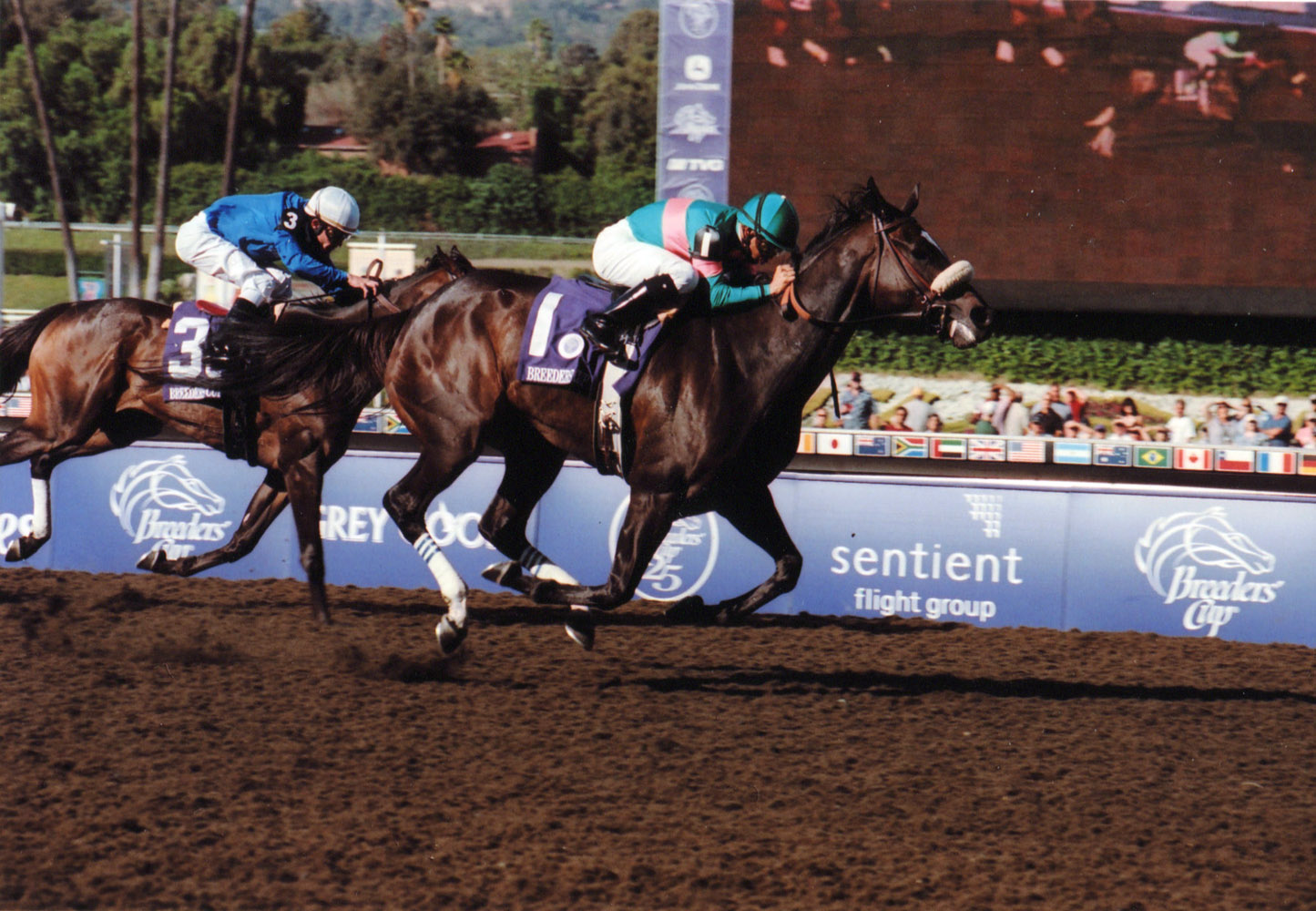 Zenyatta (Mike Smith up) winning the 2008 Breeders' Cup Ladies' Classic at Santa Anita (Bill Mochon/Museum Collection)