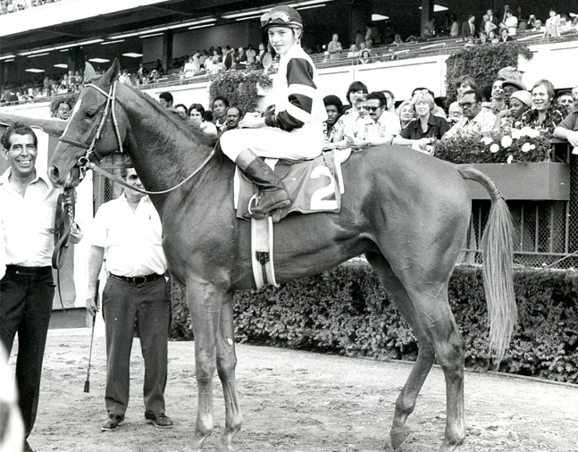 Affirmed (Steve Cauthen up) in the winner's circle for the 1977 Belmont Futurity (Museum Collection)