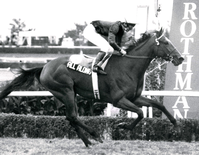 All Along winning the 1984 Rothmans International at Woodbine (Michael Burns/Museum Collection)
