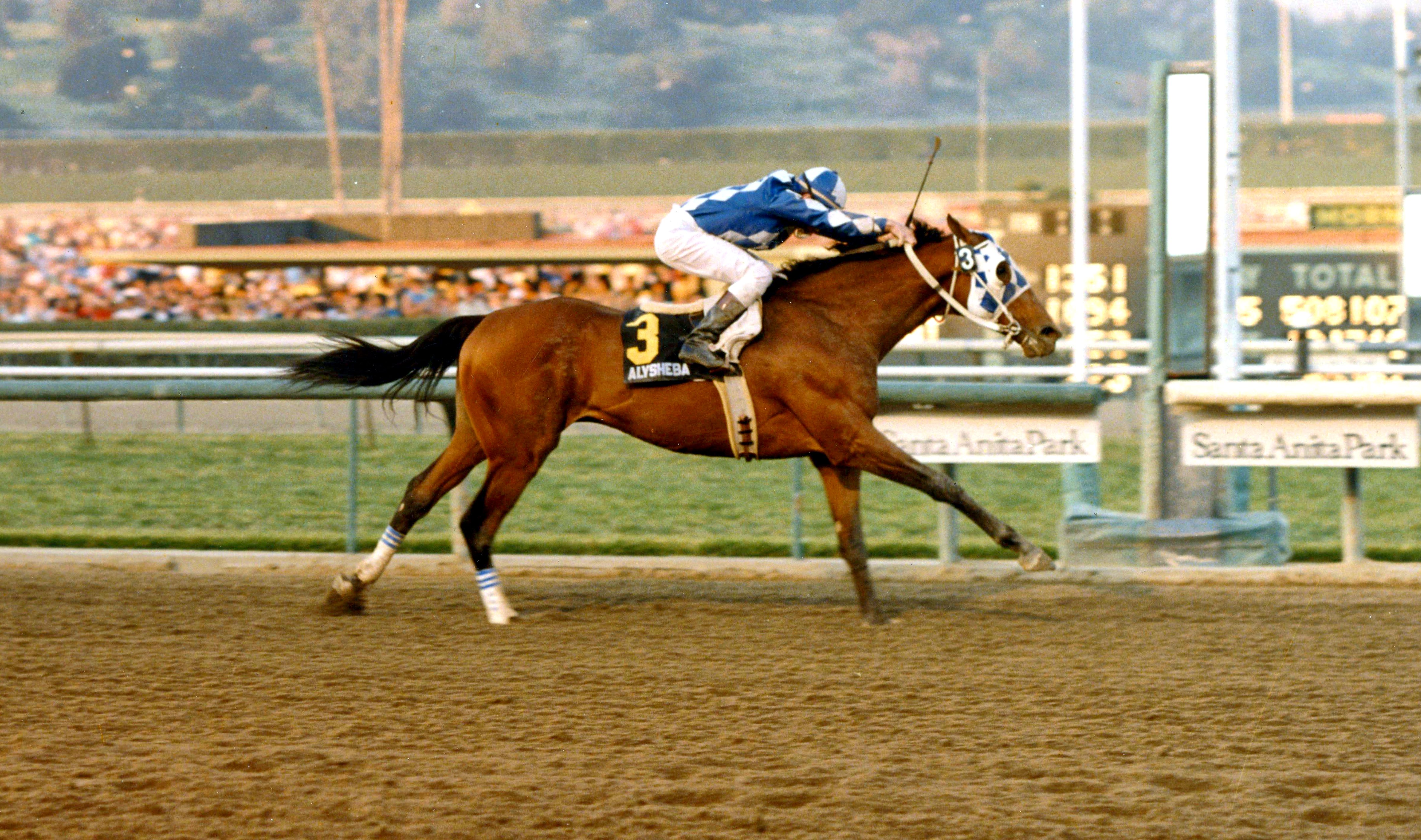 Alysheba (Chris McCarron up) wins the 1988 Charles H. Strub Stakes at Santa Anita (Santa Anita Photo/Museum Collection)