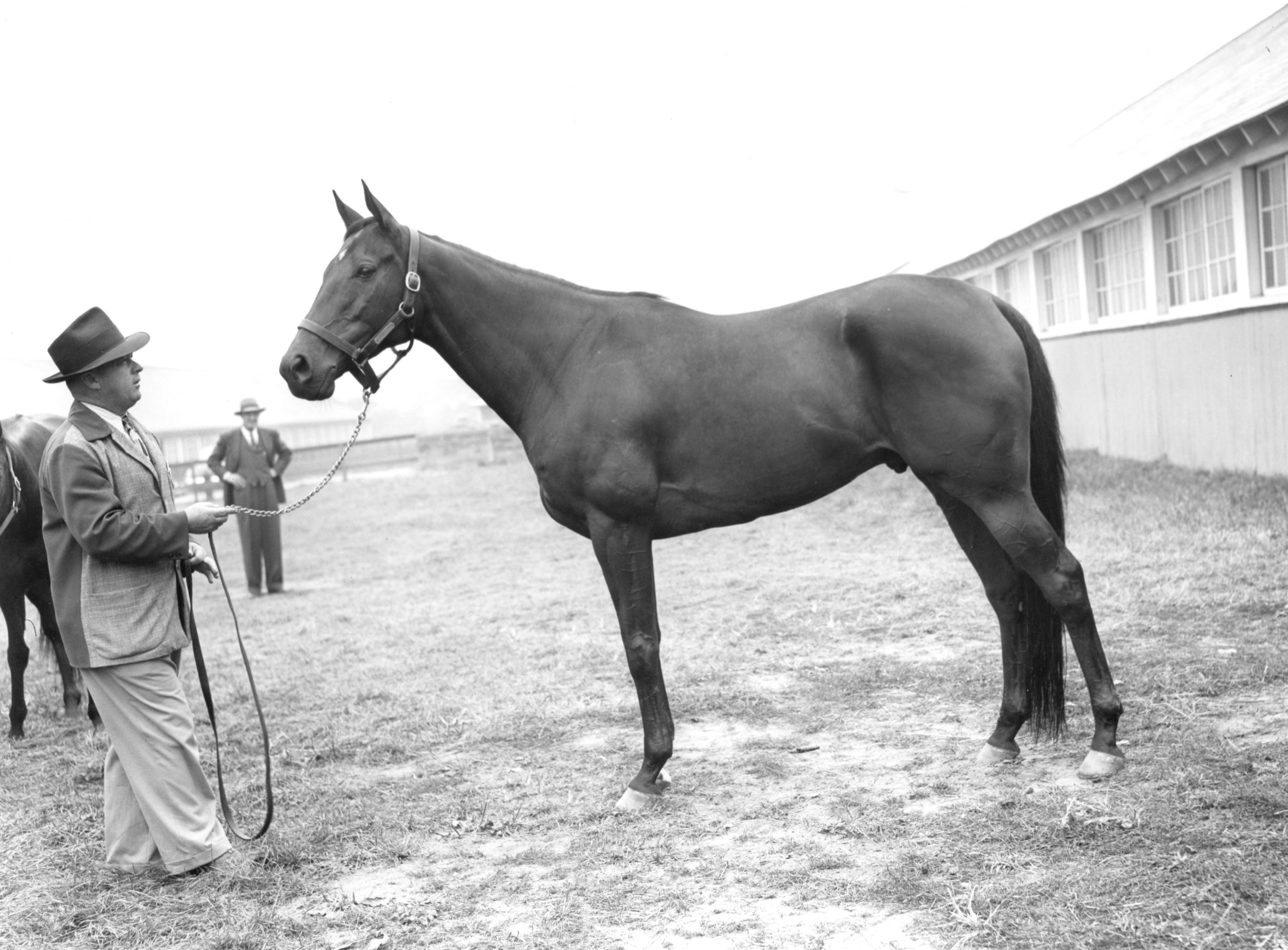 Armed with Hall of Fame trainer H. A. "Jimmy"Jones at Belmont Park, 1947 (Keeneland Library Morgan Collection/Museum Collection)