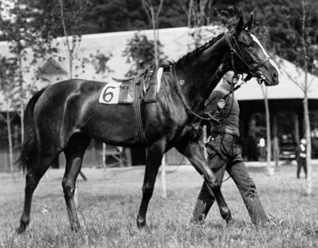 Artful walking around the paddock (Keeneland Library Cook Collection/Museum Collection)