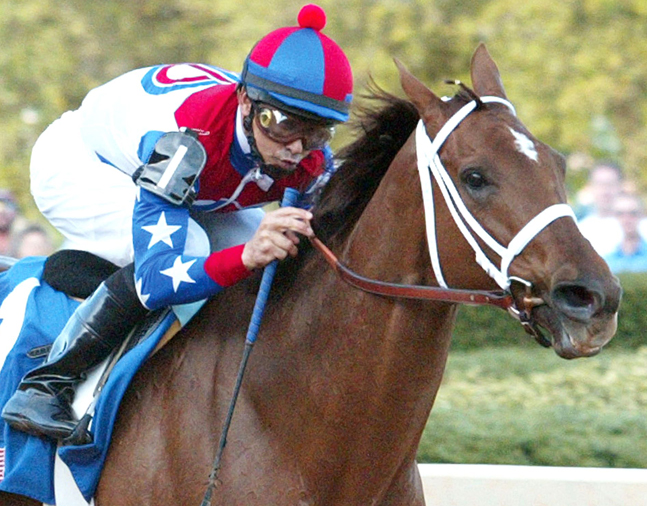 Azeri (Mike Smith up) winning the 2004 Apple Blossom Handicap at Oaklawn Park (Oaklawn Park Photo)