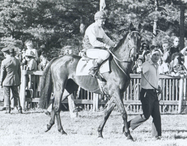 Café Prince at the 1975 Colonial Cup (The BloodHorse/Museum Collection)