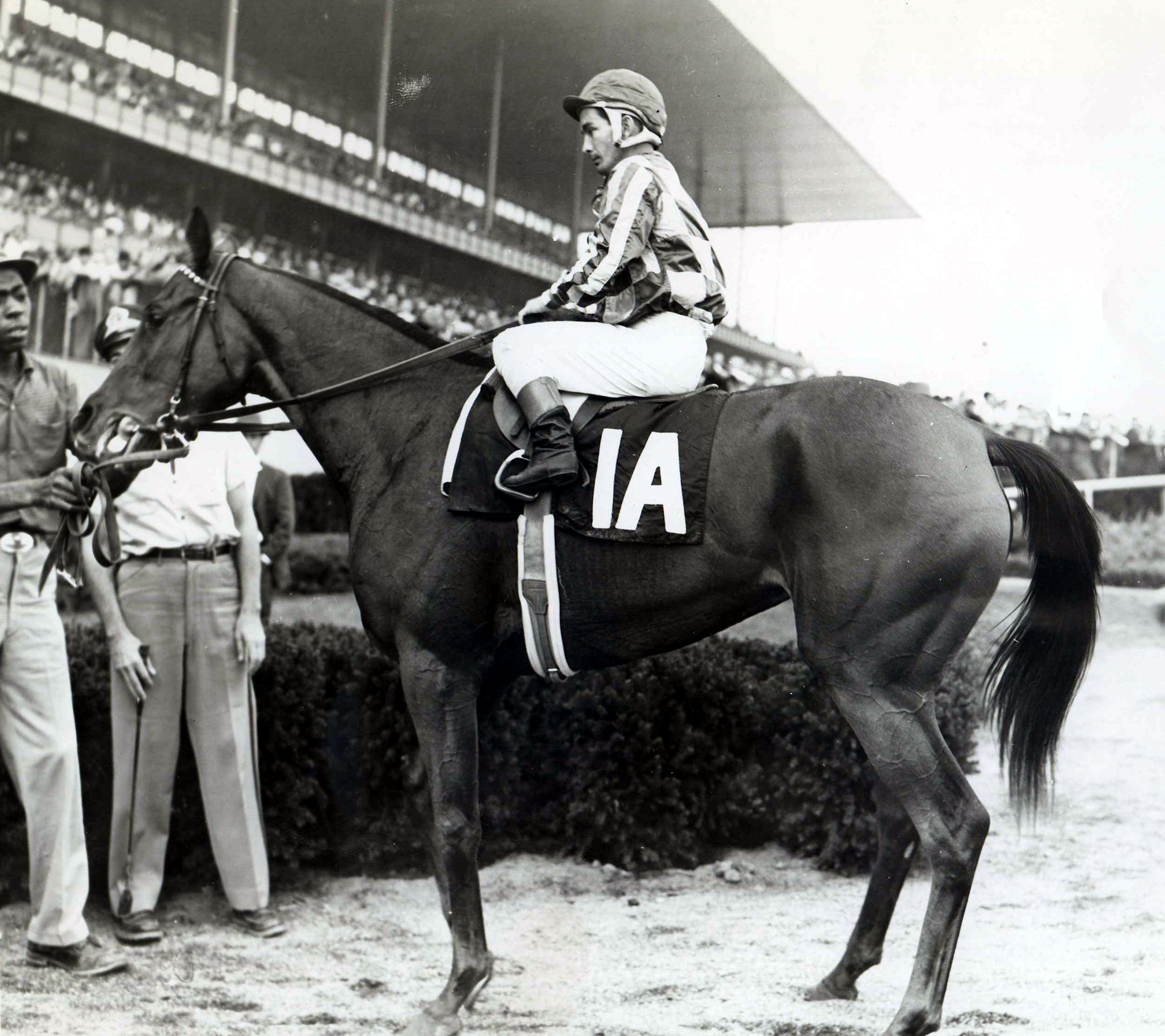 Cicada (Bill Shoemaker up) in the winner's circle for the 1961 Frizette at Aqueduct (Museum Collection)