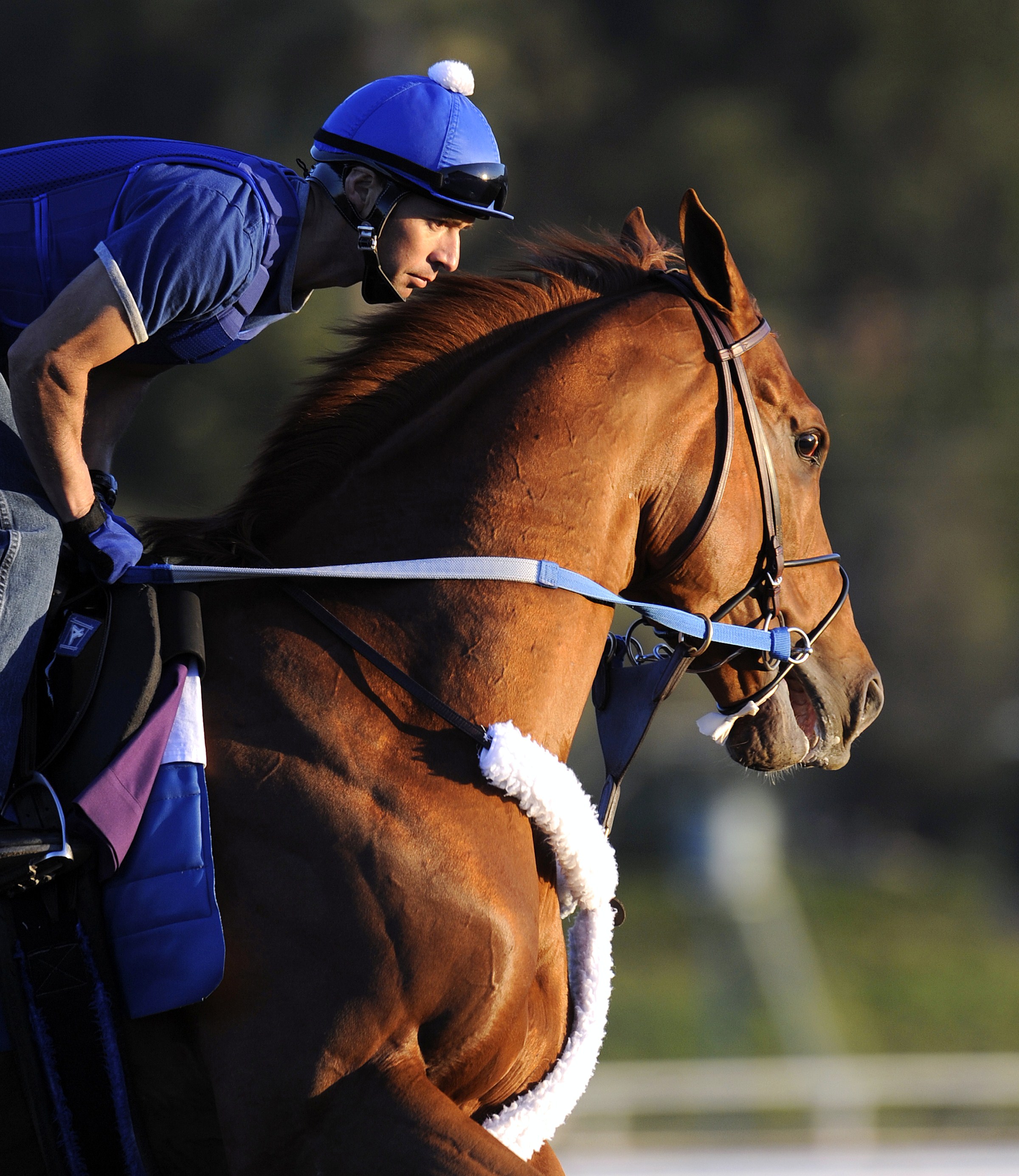 Curlin at Santa Anita in 2008 (Skip Dickstein)