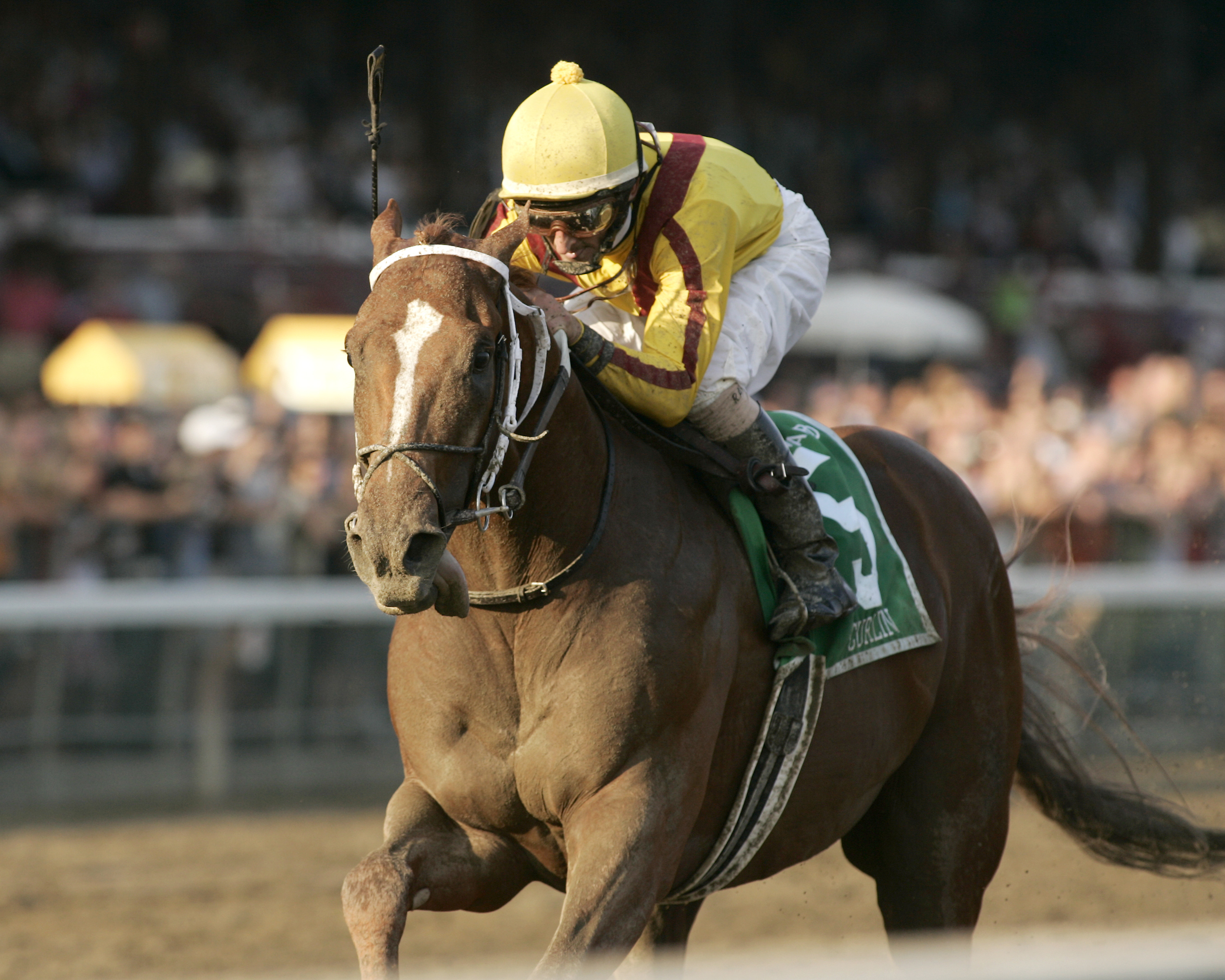 Curlin, Robby Albarado up, winning the 2008 Woodward at Saratoga (NYRA)