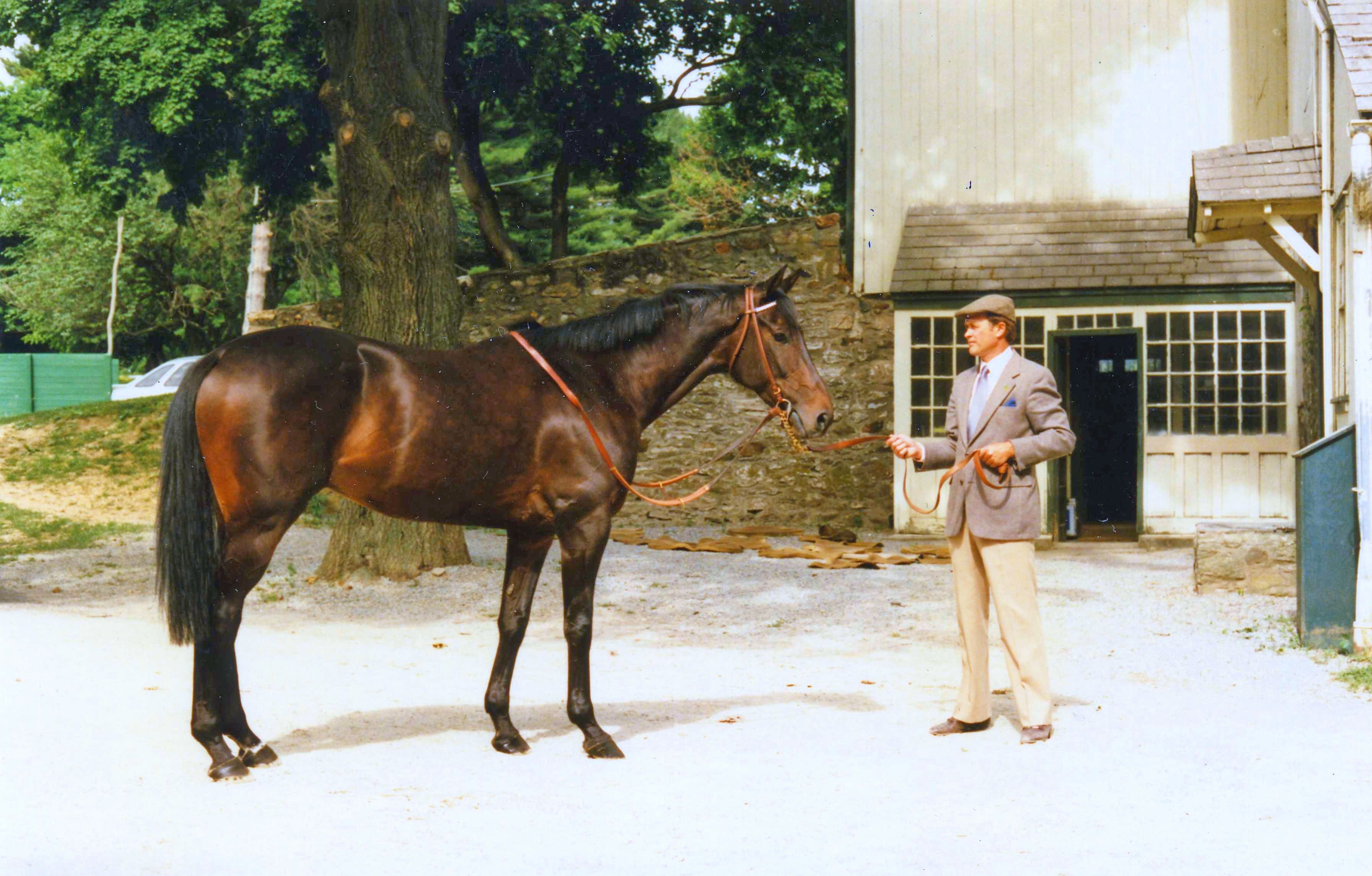 Flatterer with trainer Jonathan Sheppard (Catherine French/Museum Collection)