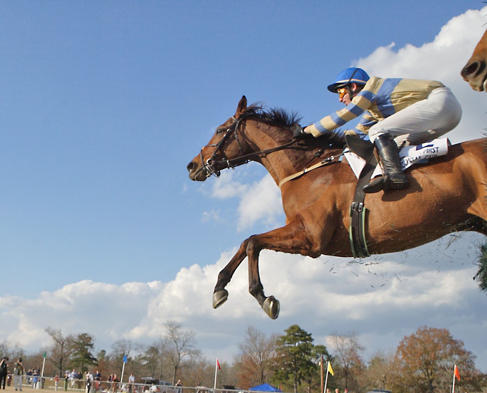 McDynamo flying high over a jump in the 2006 Colonial Cup (Tod Marks)