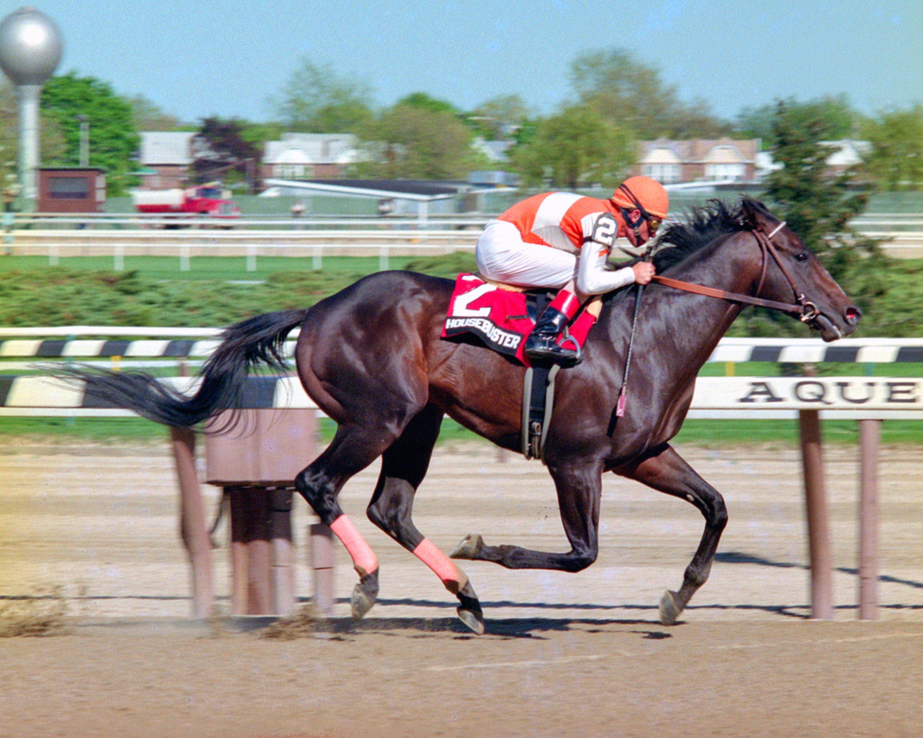 Housebuster, Craig Perret up (NYRA)