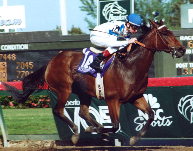 Paseana (Chris McCarron up) winning the 1992 Breeders' Cup Distaff at Gulfstream Park (Barbara D. Livingston/Museum Collection)