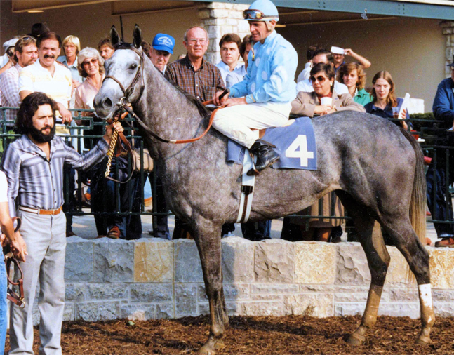 Princess Rooney (Eddie Delahoussaye up) in the winner's circle at Keeneland in October 1984 (Barbara D. Livingston/Museum Collection)