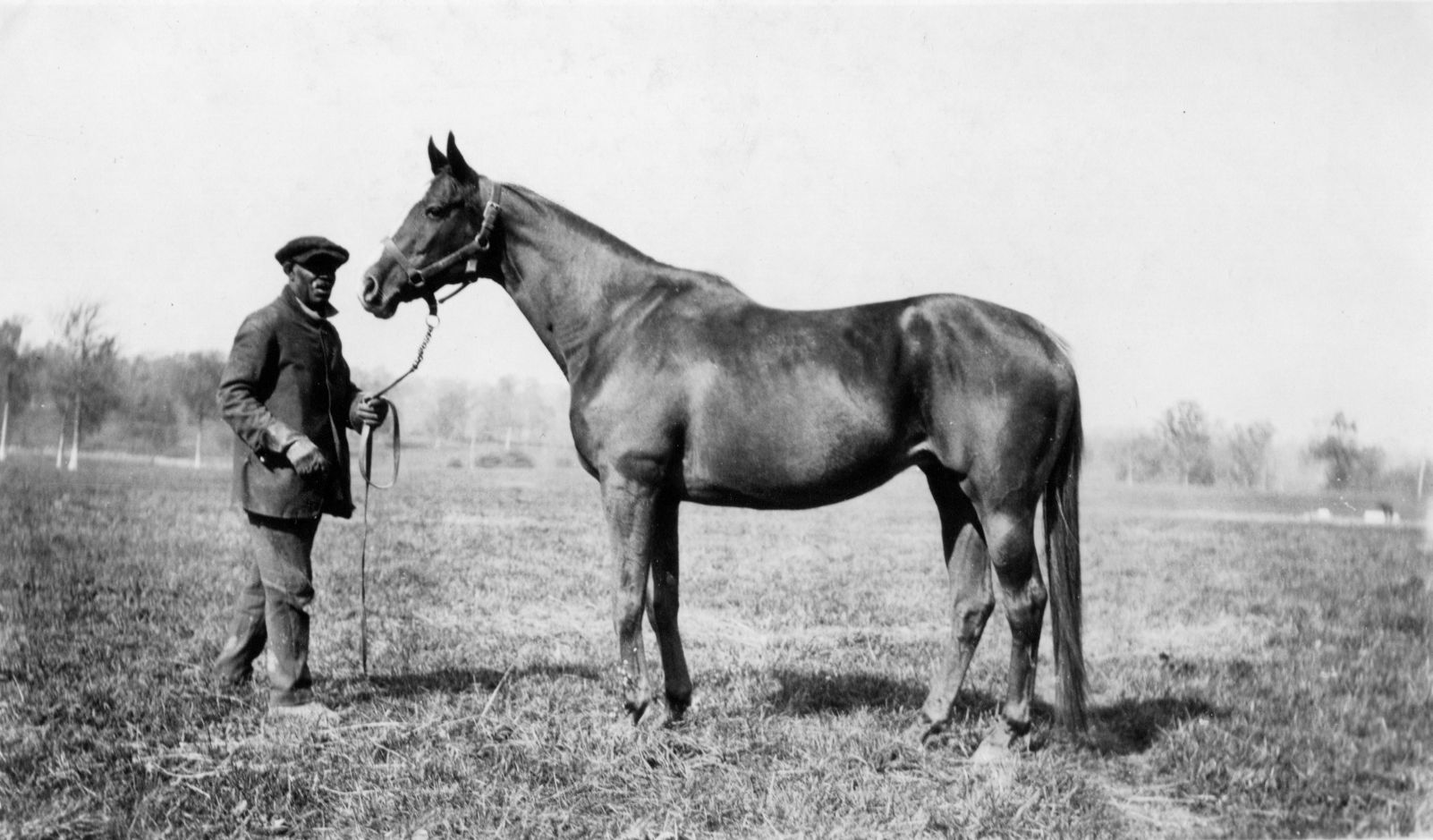 Regret in retirement (L. S. Sutcliffe/Museum Collection)