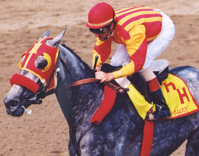 Skip Away (Jerry Bailey up) during a public workout at Saratoga, 1998 (Barbara D. Livingston/Museum Collection)