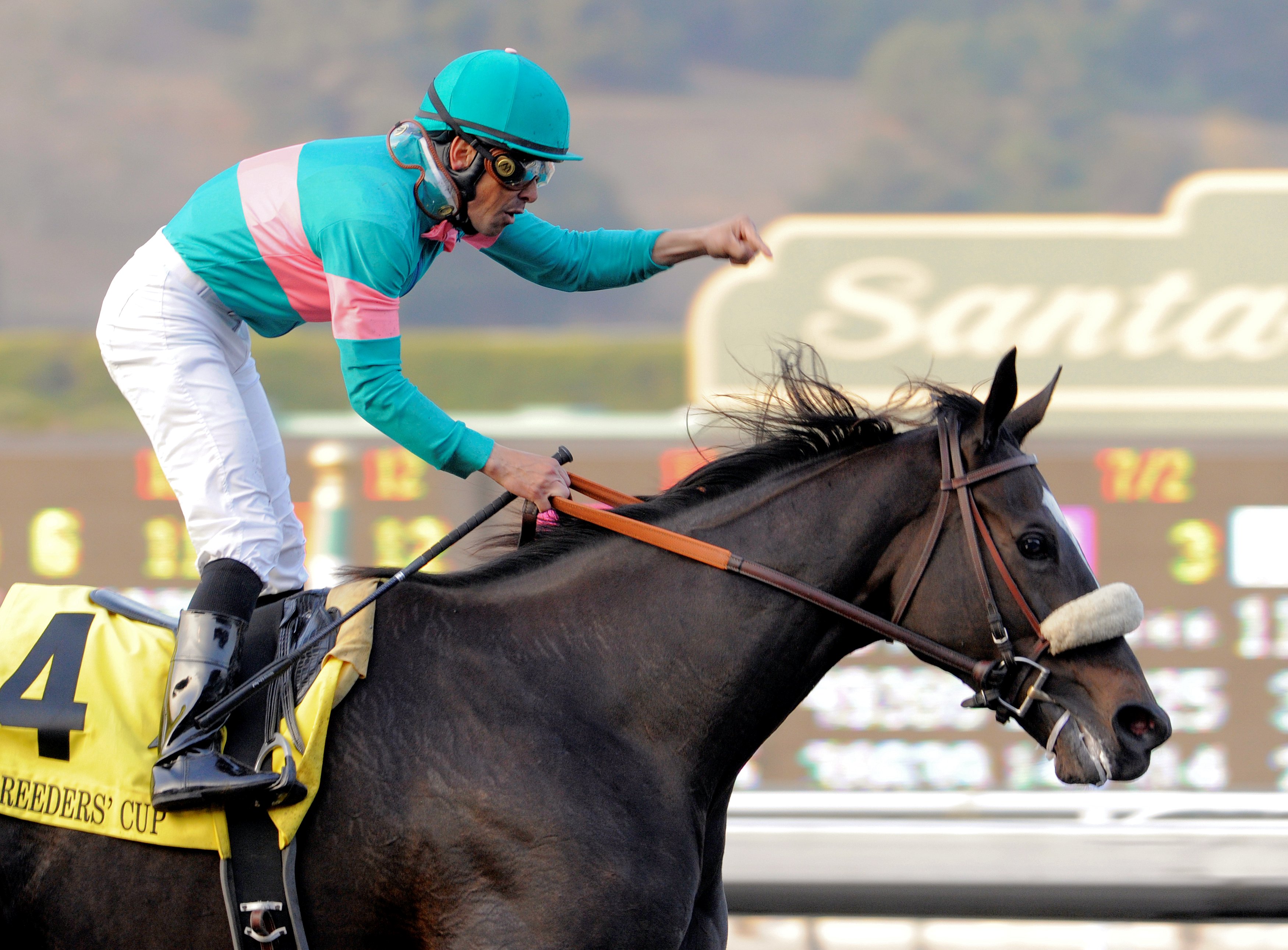 Mike Smith celebrating his Breeders' Cup Classic victory with Zenyatta (Skip Dickstein)