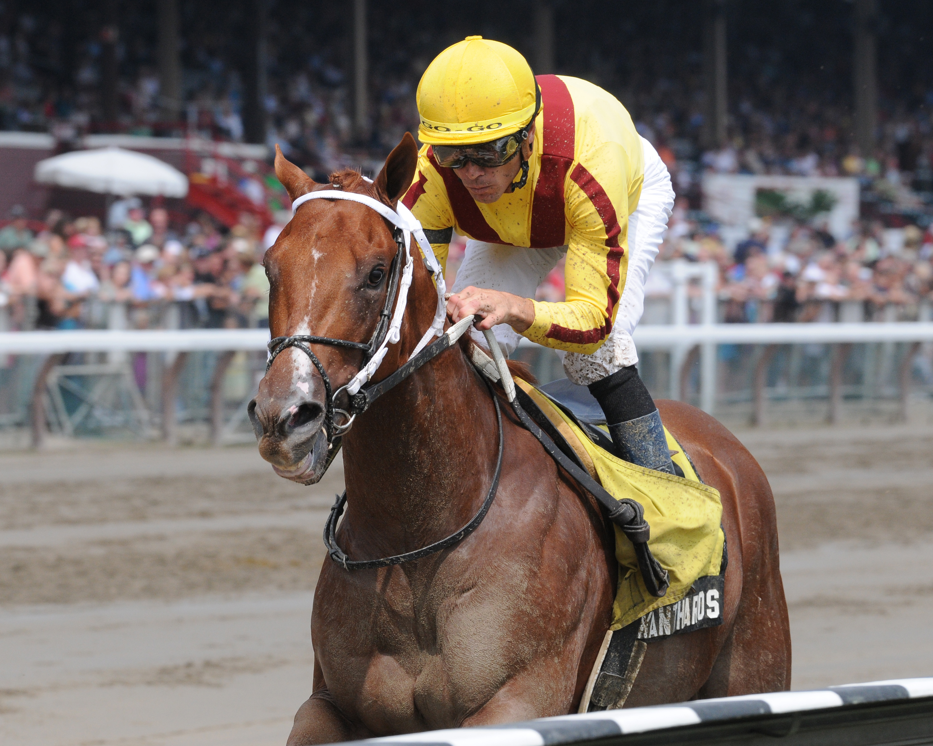 Garrett Gomez aboard Kantharos (NYRA)