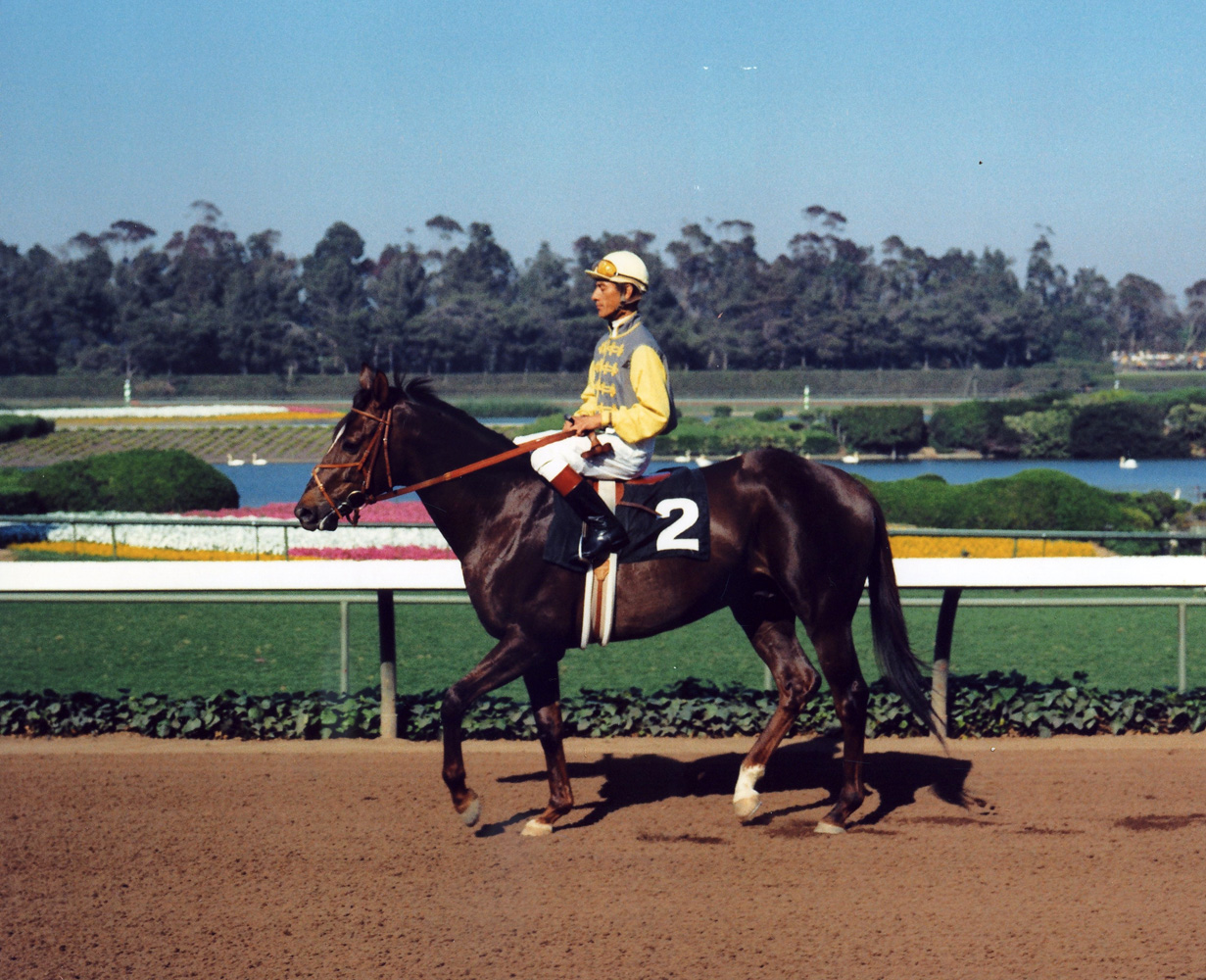 Braulio Baeza with Arts and Letters at Hollywood Park (Vic Stein & Assoc./Bill Mochon Photo Collection /Museum Collection)