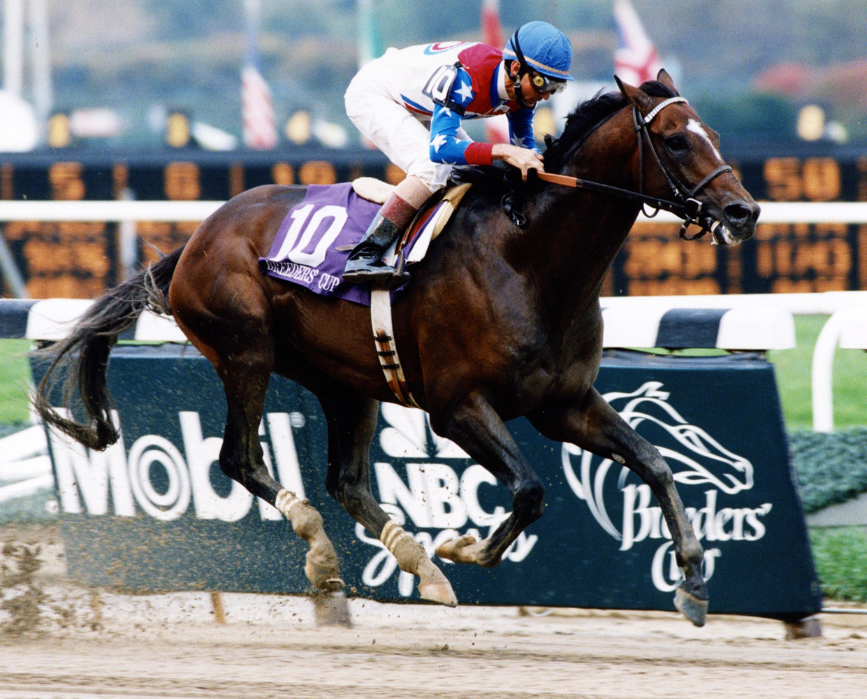 Jerry Bailey and Cigar winning the 1995 Breeders' Cup Classic at Belmont Park (Elite Photo/Museum Collection)