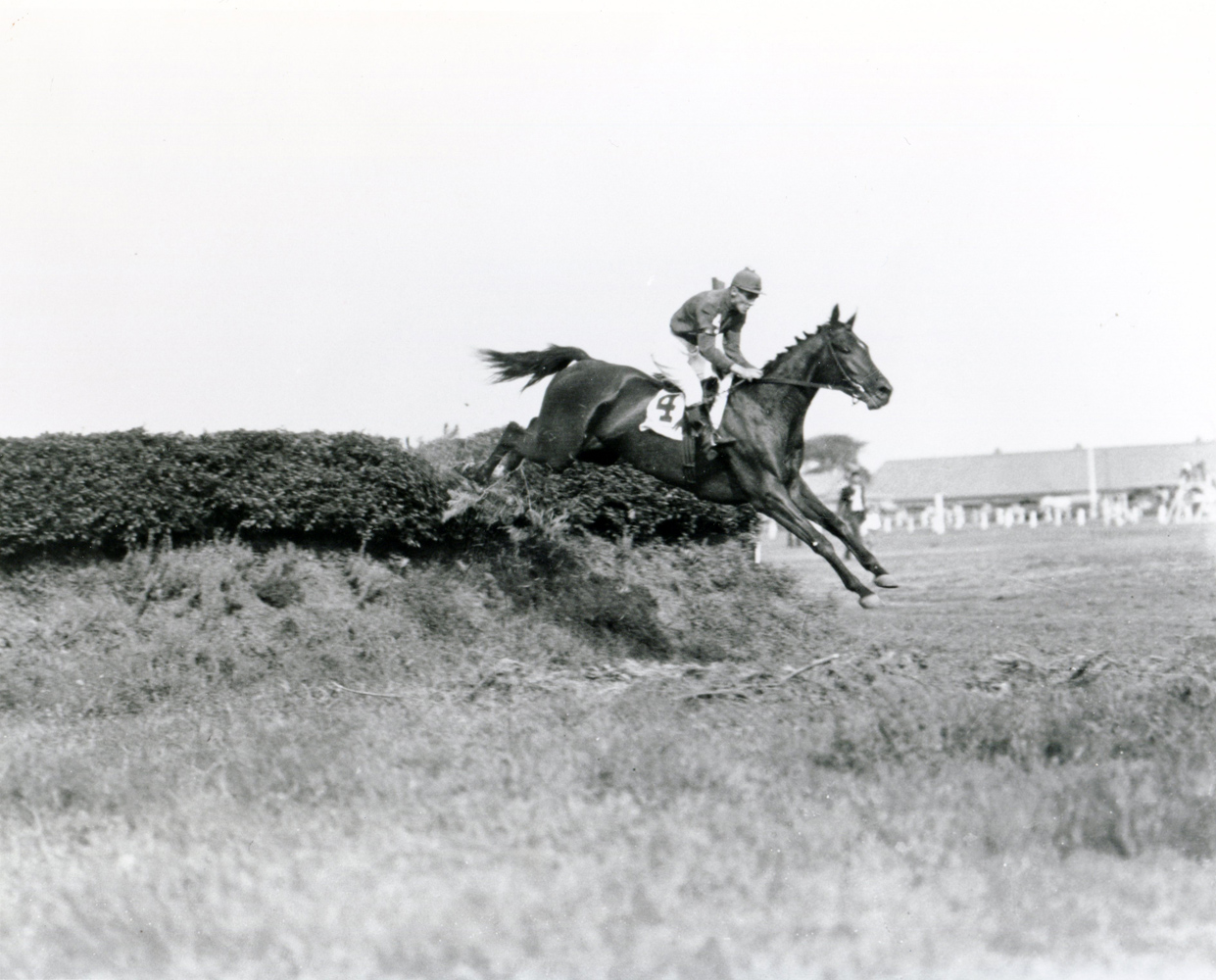 George Bostwick and Escapade clearing a jump in a steeplechase event at Aqueduct, September 1932 (Keeneland Library Cook Collection/Museum Collection)