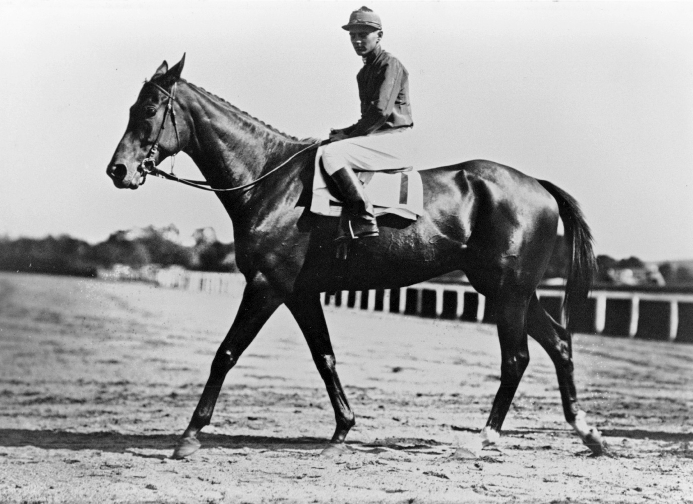 George Bostwick and Chenango (Keeneland Library Cook Collection/Museum Collection)