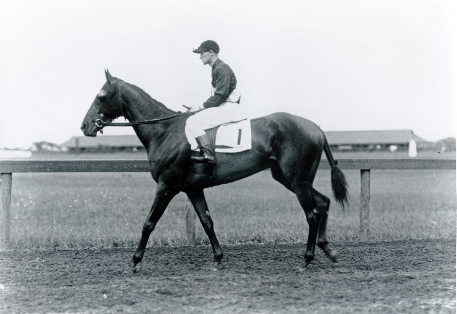 James Butwell and Roamer (Keeneland Library Cook Collection/Museum Collection)