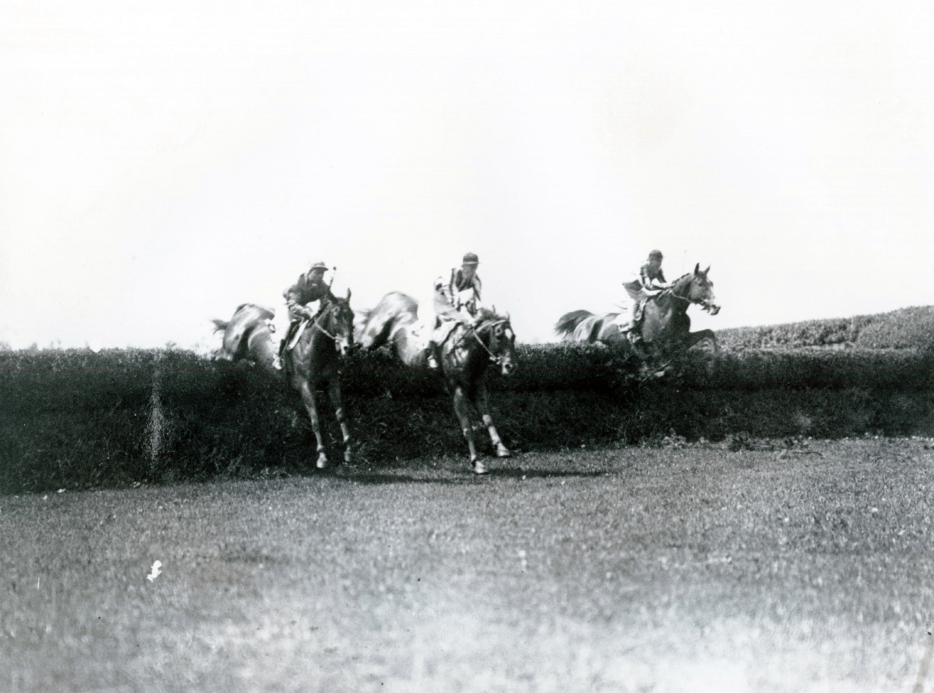 J. Dallet Byers and Fairmount (center) clearing a jump in the 1938 Charles Appleton Memorial Cup at Belmont (Keeneland Library Cook Collection)
