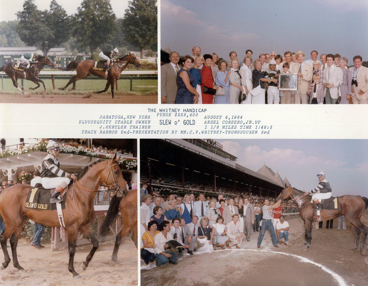 Win composite photograph for the 1984 Whitney Handicap at Saratoga, won by Slew o' Gold with Angel Cordero up (NYRA/Museum Collection)