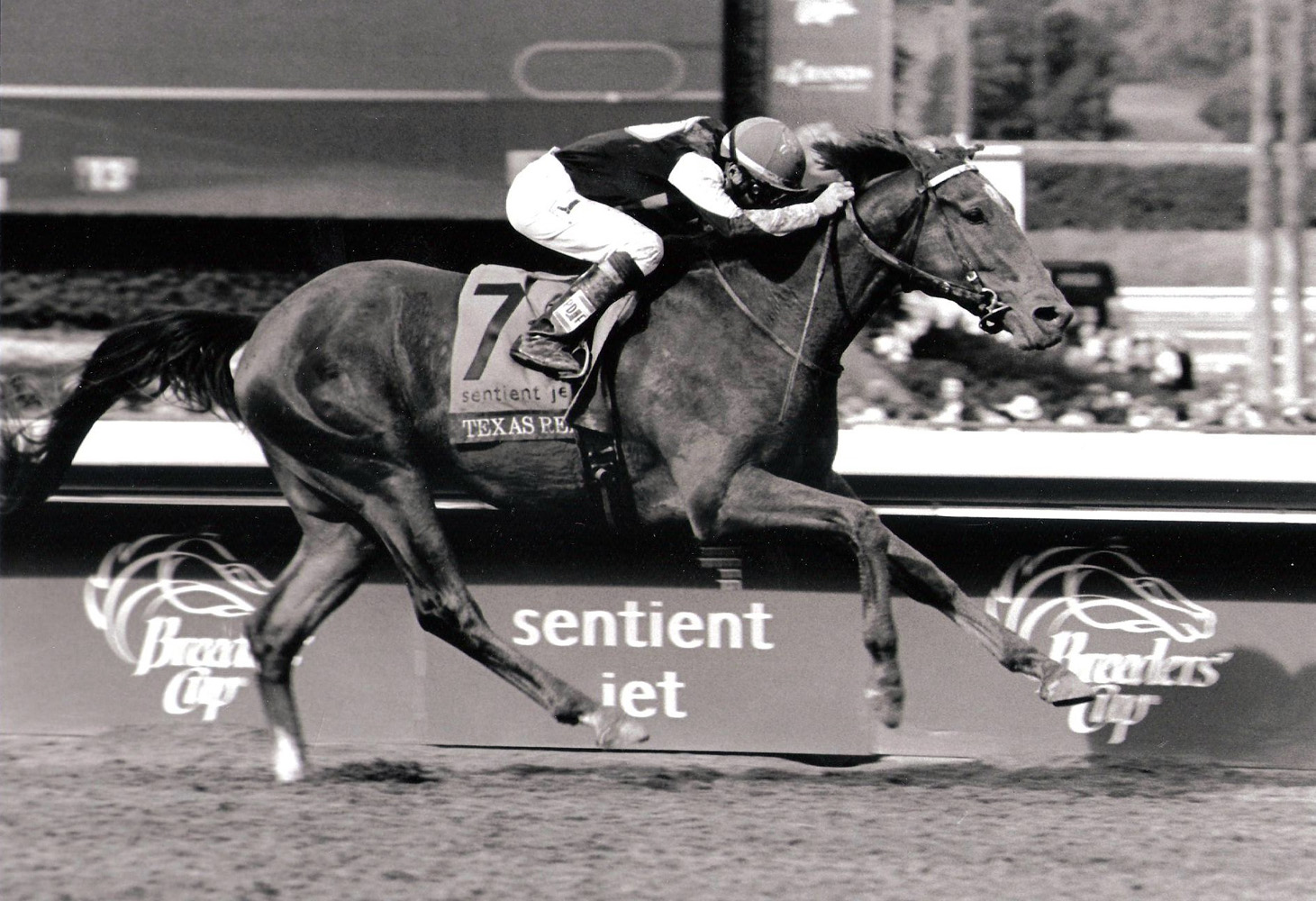Kent Desormeaux and Texas Red winning the 2014 Breeders' Cup Juvenile at Santa Anita Park (Bill Mochon/Museum Collection)