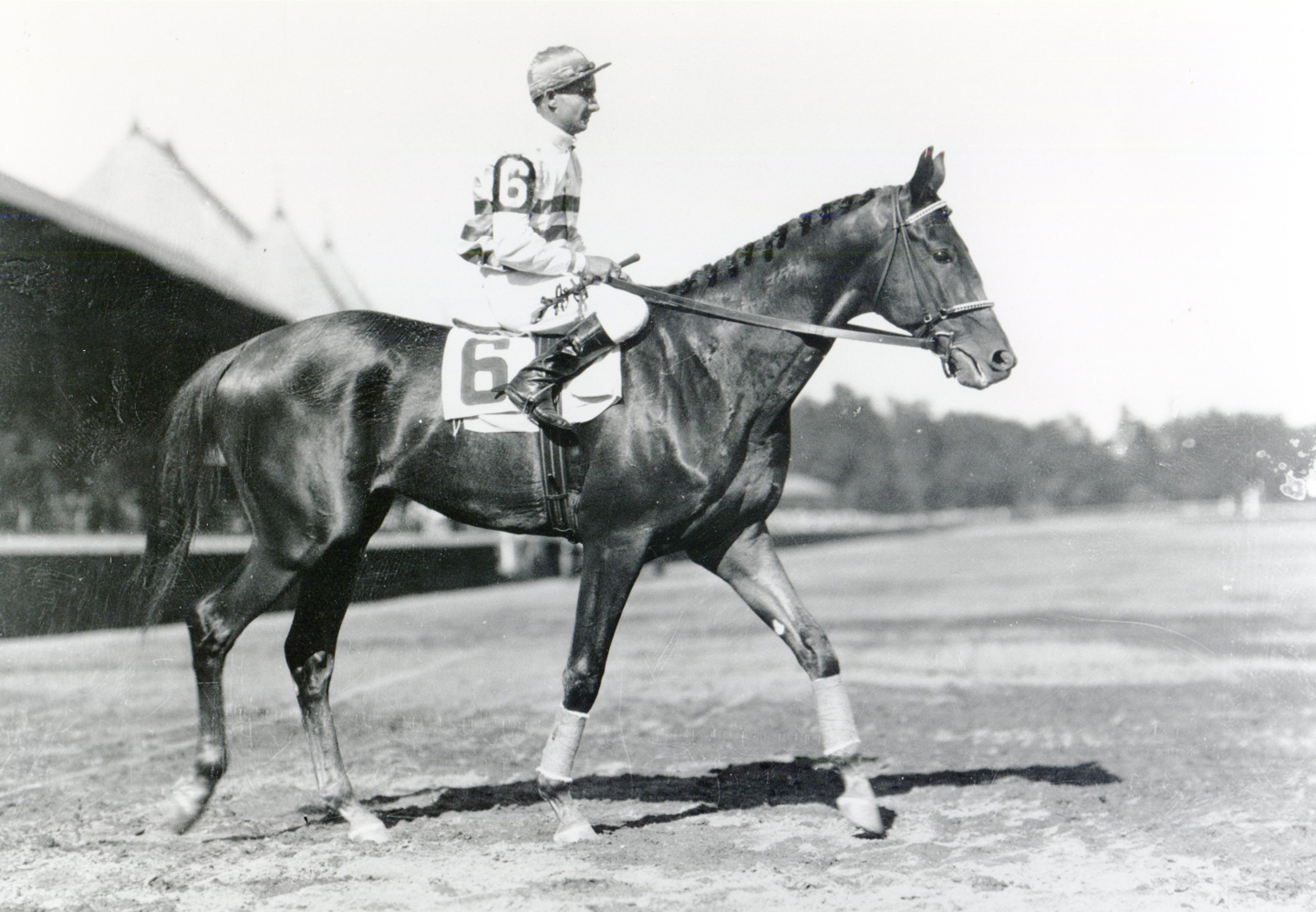 Laverne Fator and Burgoo King at Saratoga (Keeneland Library Cook Collection/Museum Collection)
