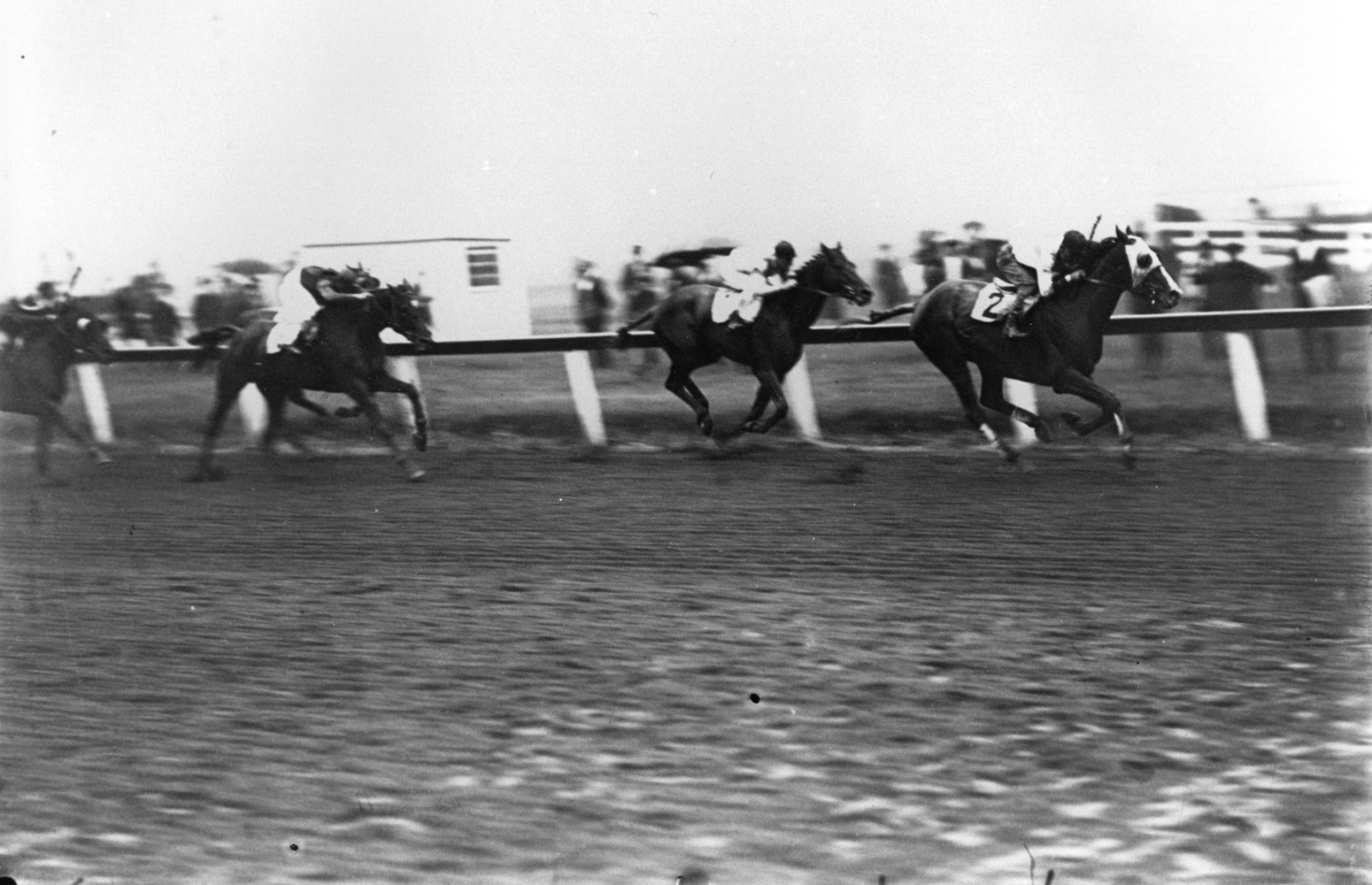 Laverne Fator and Grey Lag defeating Hall of Fame horses John P. Grier and Exterminator in the 1921 Brooklyn Handicap at Aqueduct (Keeneland Library Cook Collection/Museum Collection)