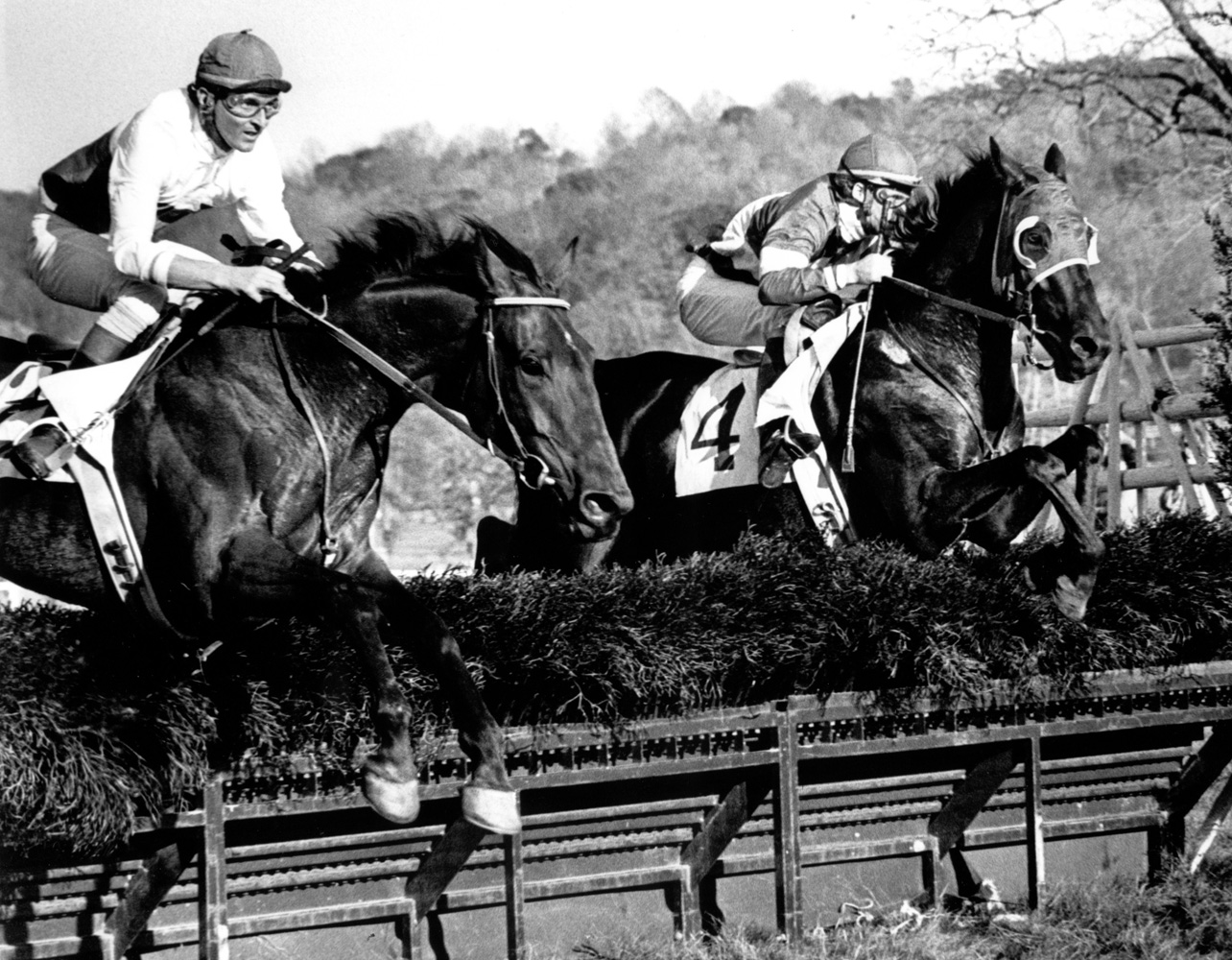 Jerry Fishback and Café Prince (left) taking a jump in the 1977 Samuel Martin Memorial Essex Hunt at Far Hills (Douglas Lees/Museum Collection)