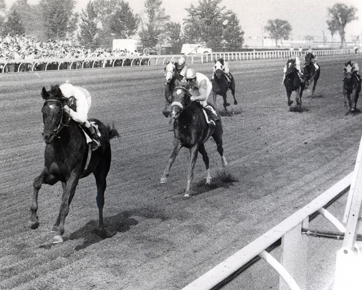 Avelino Gomez and Titled Hero winning the 1966 Queen's Plate (Michael Burns/Museum Collection)
