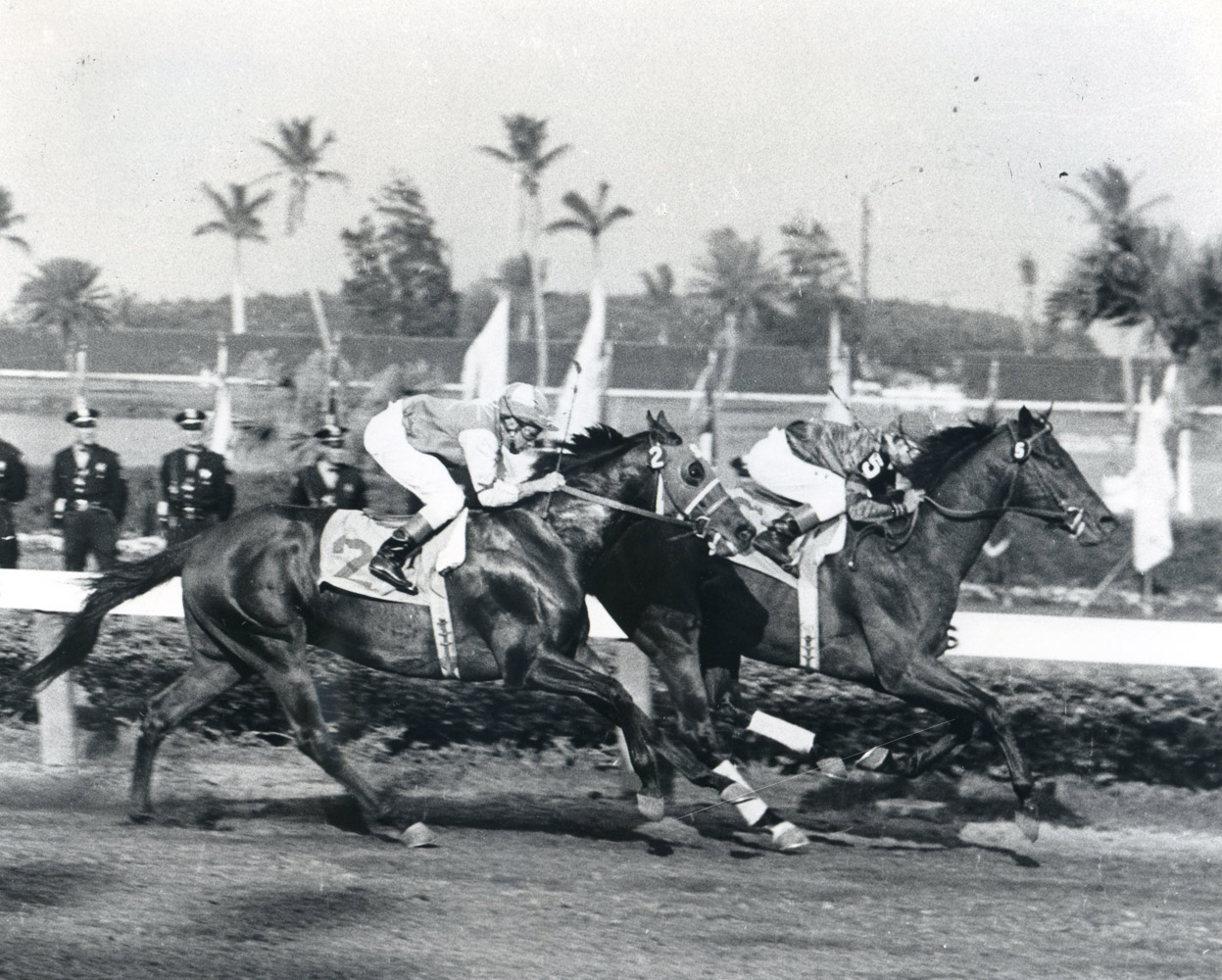 Bill Hartack and Tim Tam winning the 1958 Florida Derby at Gulfstream Park (Jim Raftery Turfotos/Museum Collection)