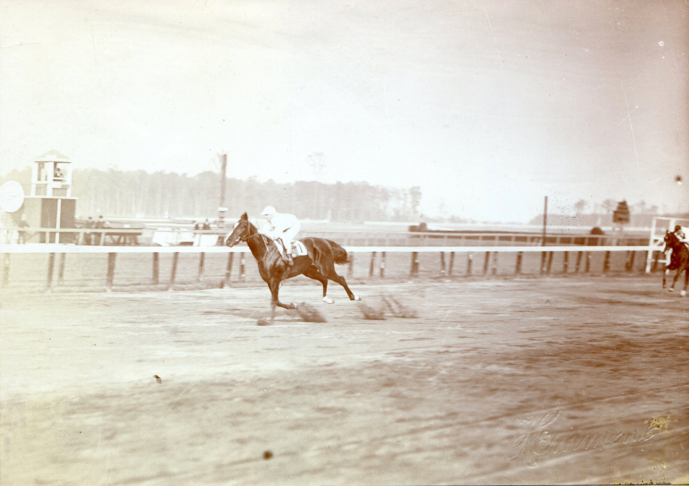 Walter Miller and Colin winning the 1907 National Stallion Stakes at Belmont Park (J. C. Hemment/Museum Collection)