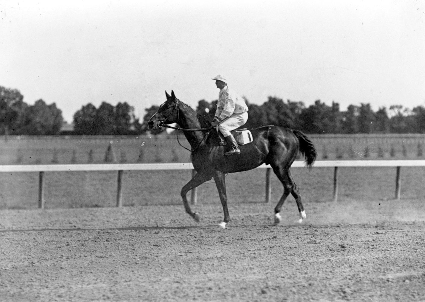 Walter Miller and Colin (Keeneland Library Cook Collection/Museum Collection)