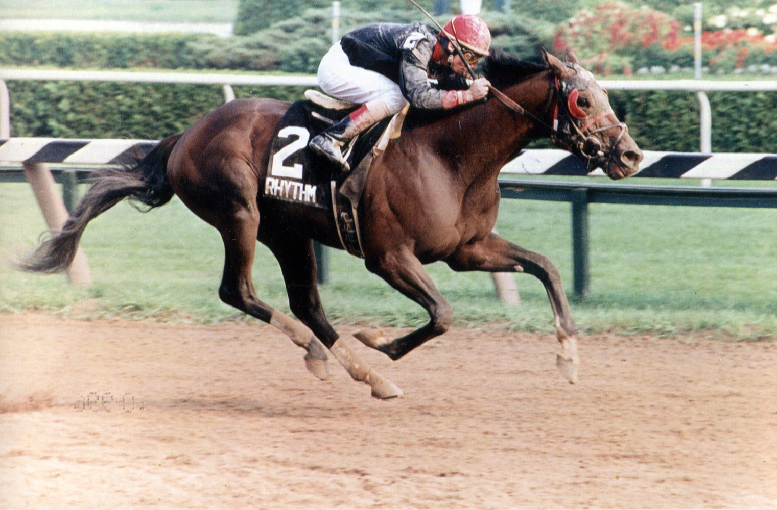 Craig Perret and Rhythm winning the 1990 Travers Stakes at Saratoga (Mike Pender/Museum Collection)