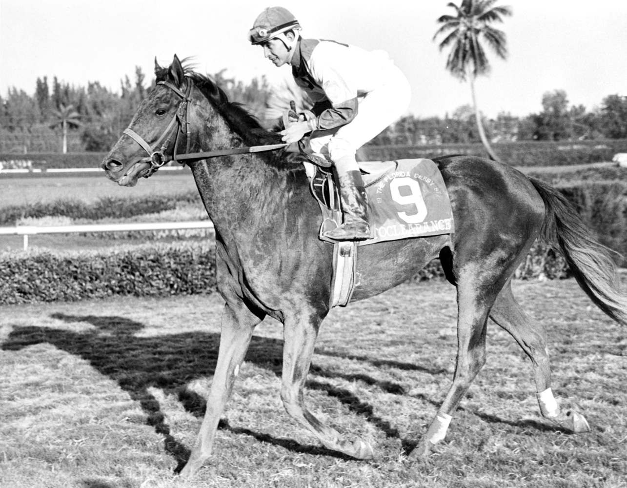 Jose Santos and Cryptoclearance after winning the 1987 Florida Derby at Gulfstream Park (Jim Raftery Turfotos)