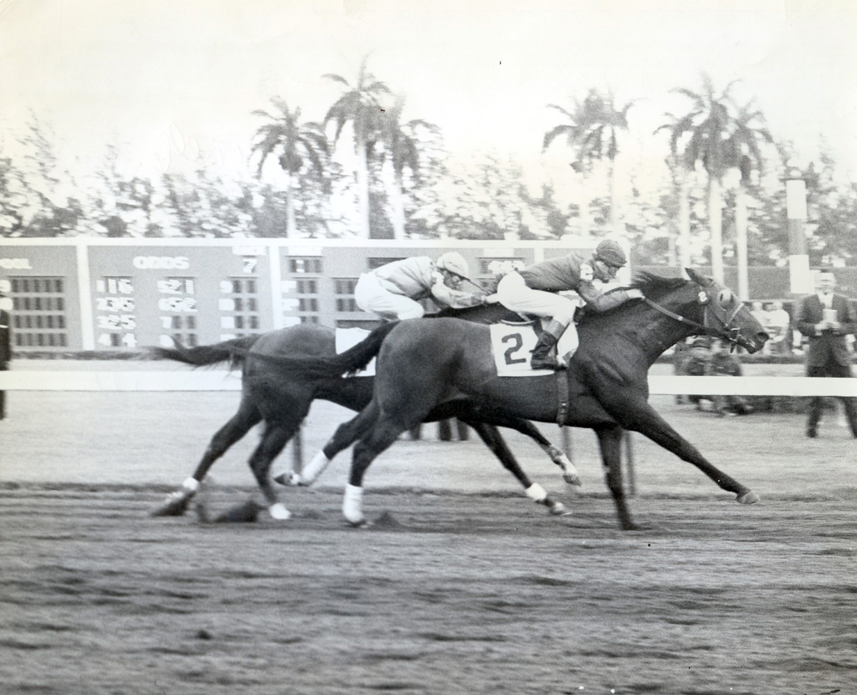John Sellers and Yorky win the 1961 Widener Handicap at Hialeah Park (Leo Frutkoff/Museum Collection)
