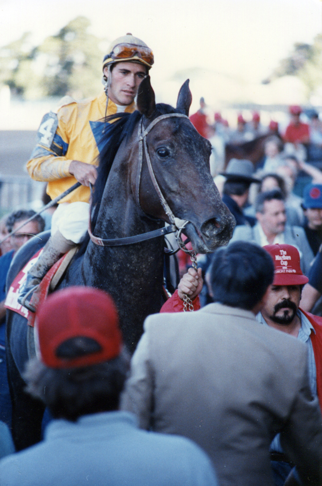 Gary Stevens and Turkoman after winning the 1986 Marlboro Cup at Belmont Park (Mike Pender/Museum Collection)